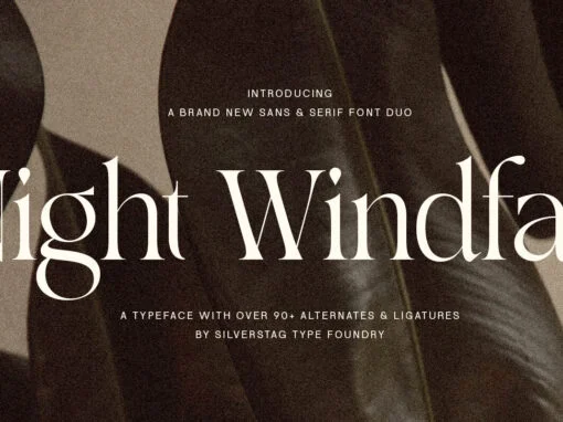 SLTF Night Windfall Font Duo Font - Image 12