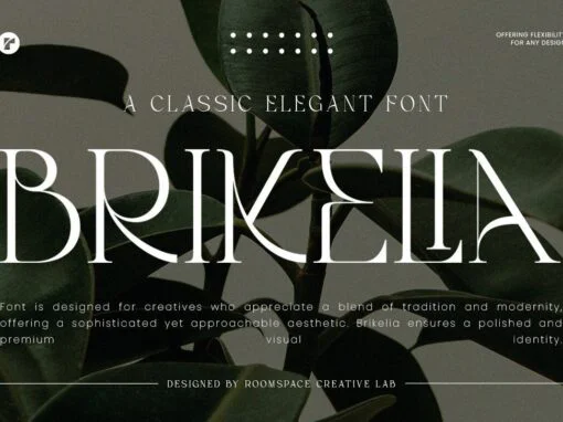 Brikelia Font - Image 2