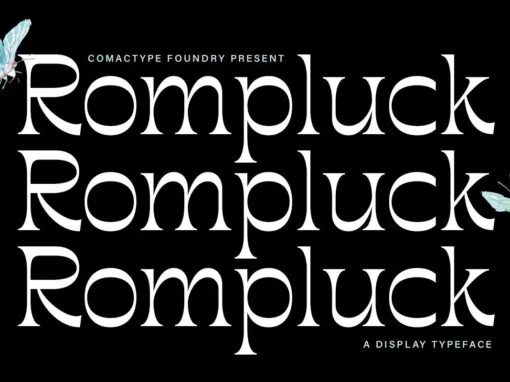 Rompluck Font - Image 7